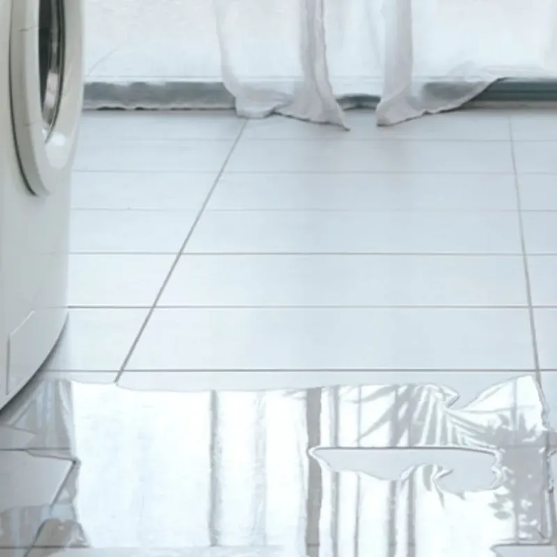 Appliance Leak Cleanup in Dodge County, WI