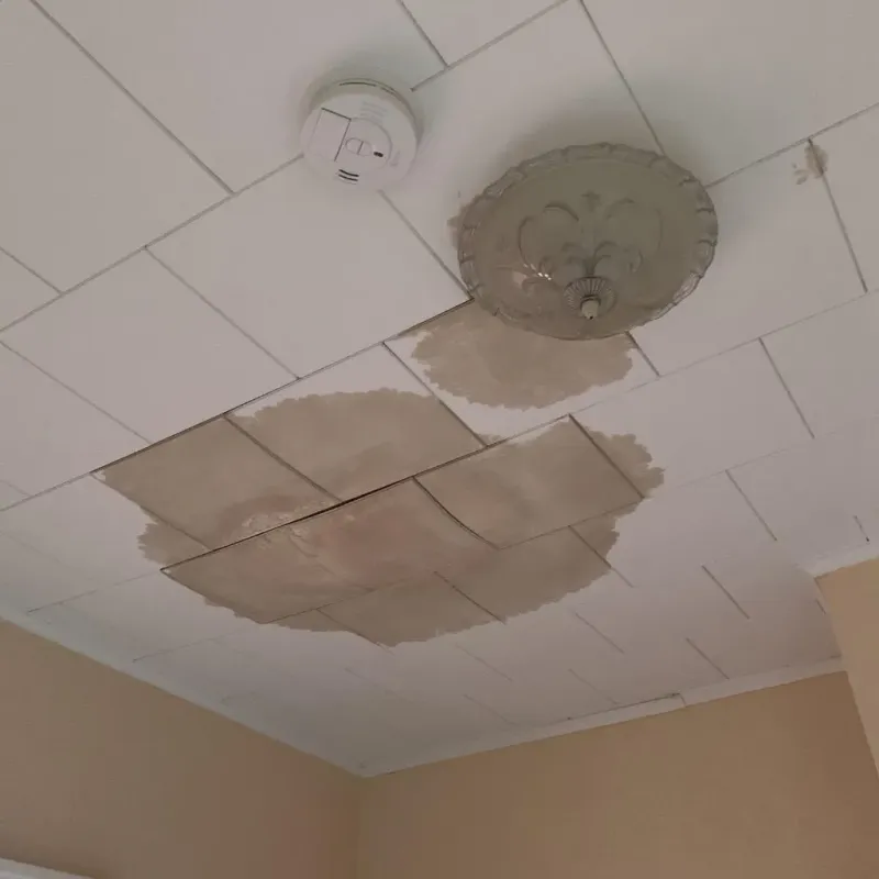 Ceiling Water Damage Repair in Dodge County, WI