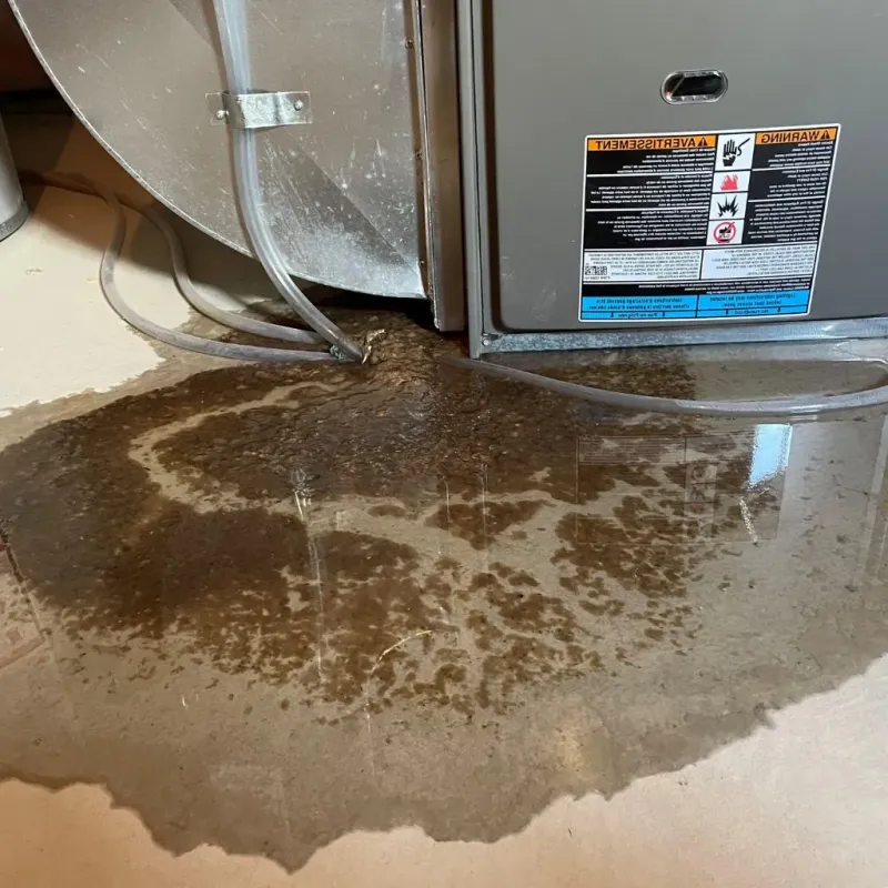 Pipe Burst and Leak Restoration in Dodge County, WI
